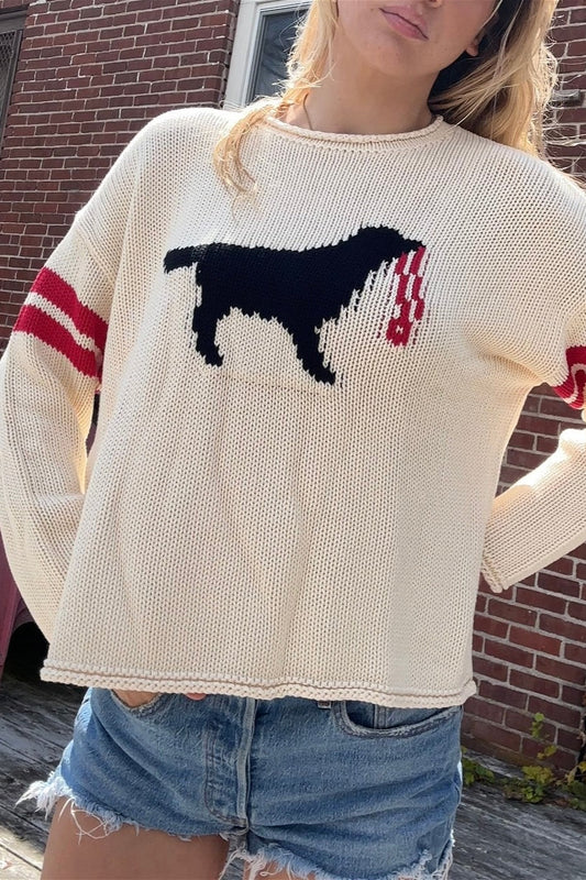 Dog Graphic Crew Neck Sweater