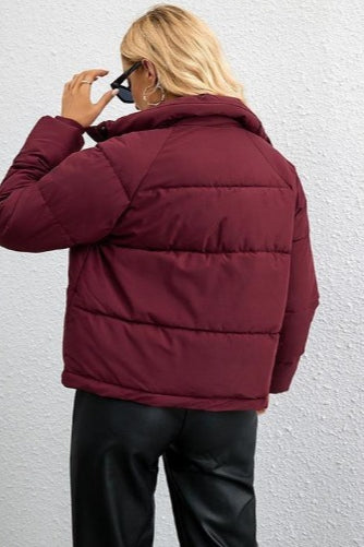 Modern Cropped Puffy Puffer Jacket