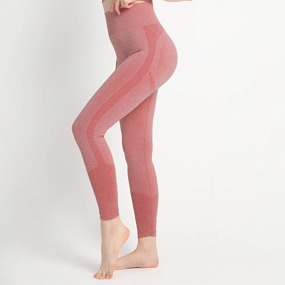 Seamless Workout Legging Red / S