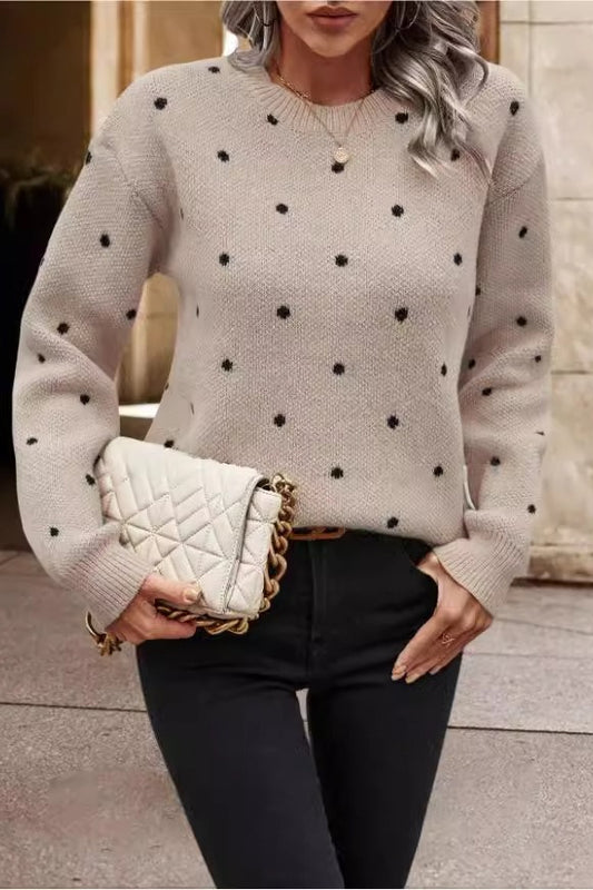 Textured Dot Crew Neck Pullover Knit Sweater
