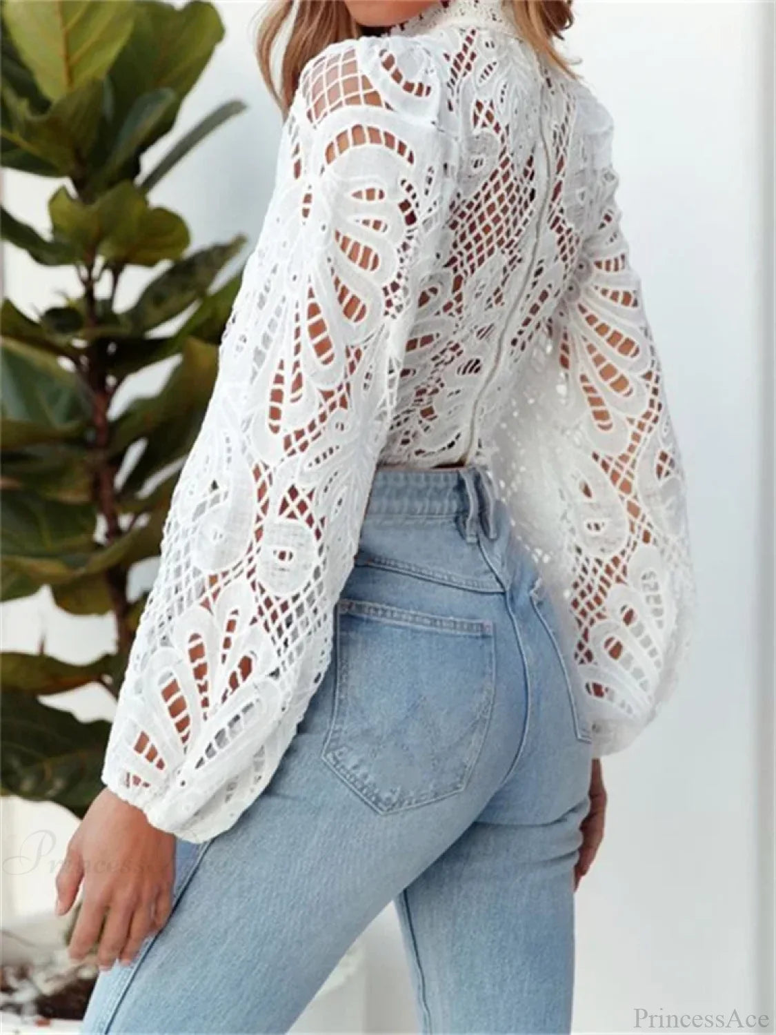 Elegant Lace Puff Sleeve Slim Fit Crop Blouse blouse-250126