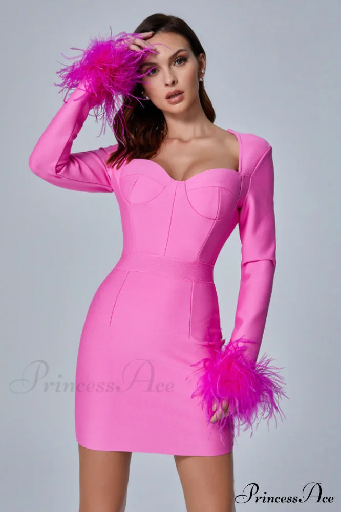 Feather Long Sleeve Bustier Dress | Dress In Beauty