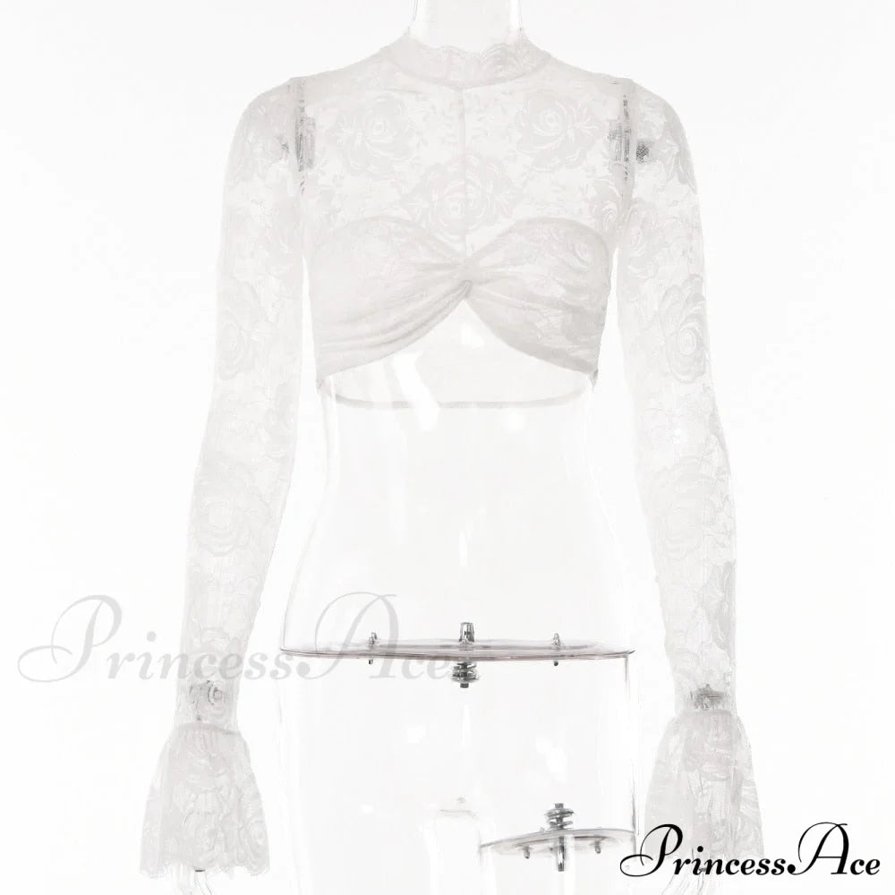 Long Sleeve Lace Charming Mesh Crop Top