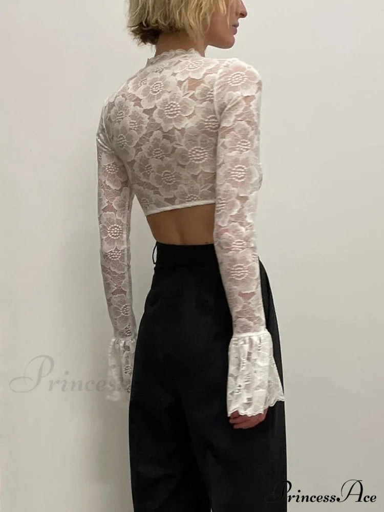 Long Sleeve Lace Charming Mesh Crop Top