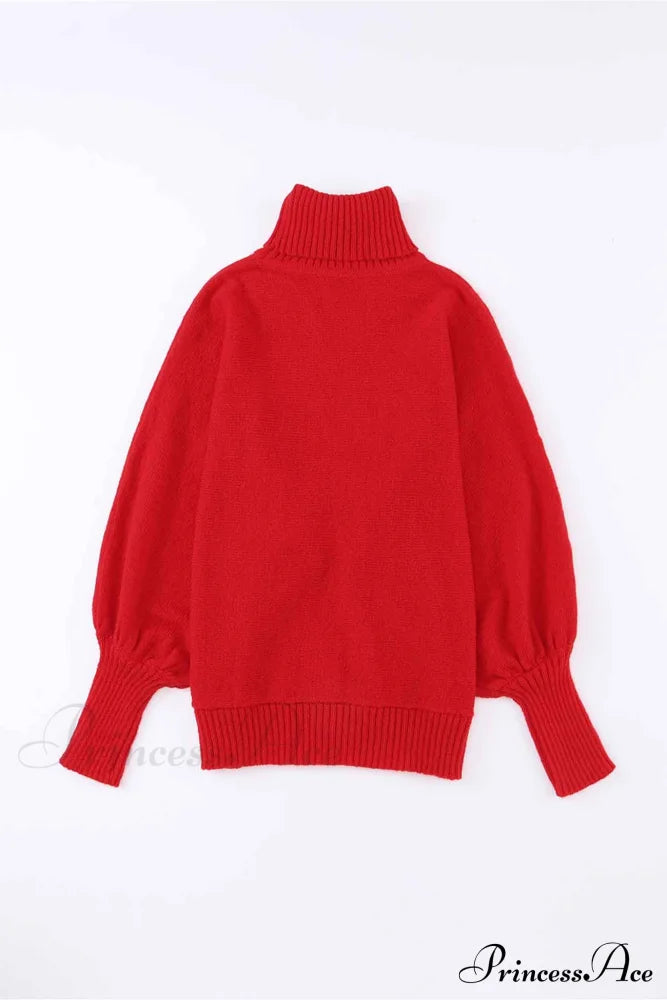 Merry Dolman Sleeve Turtleneck Knitted Sweater Sweaters-L