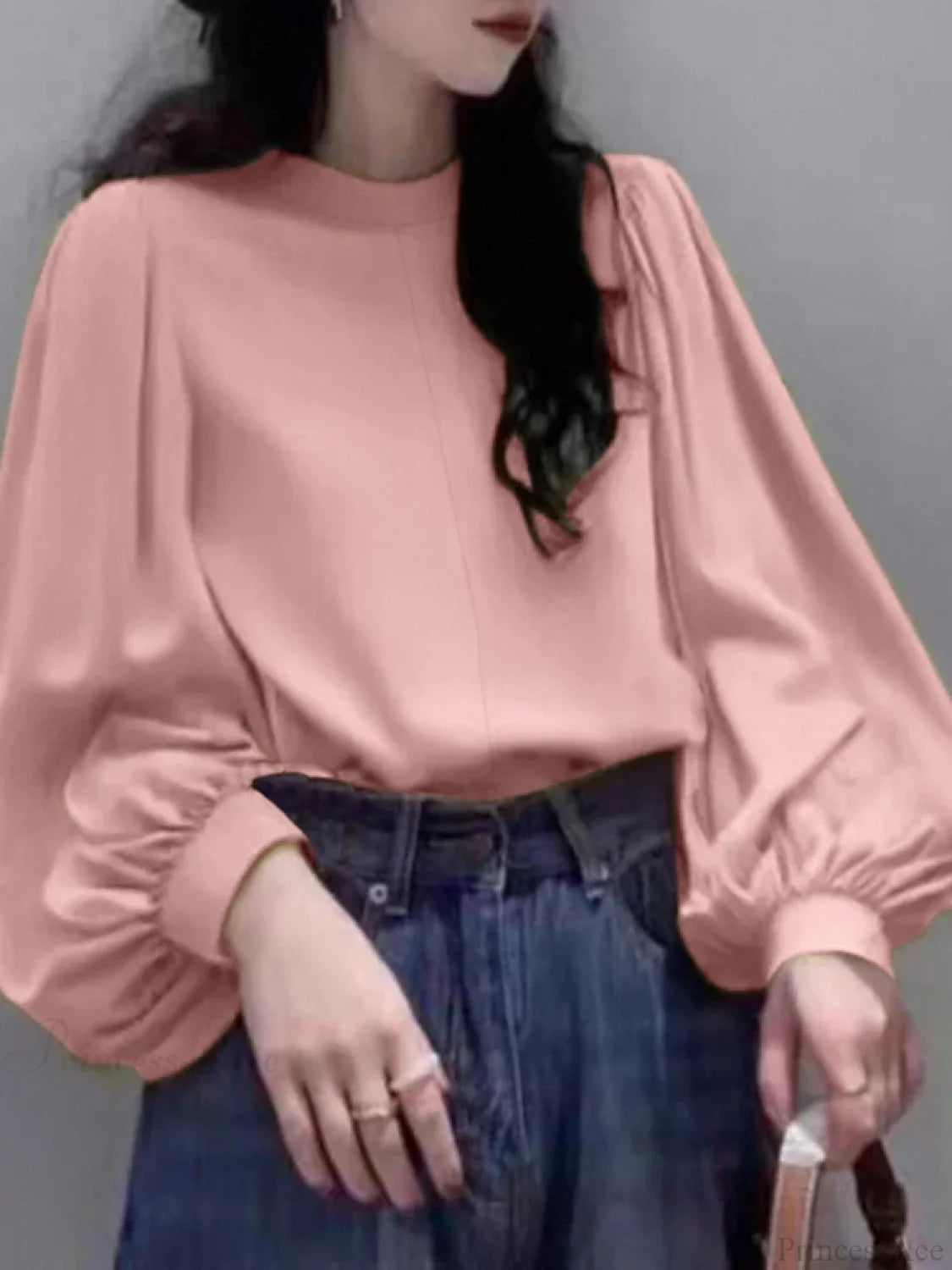 Mesh Lantern Sleeve Blouse Spring Tunic Blouse Pink / S blouse-250126
