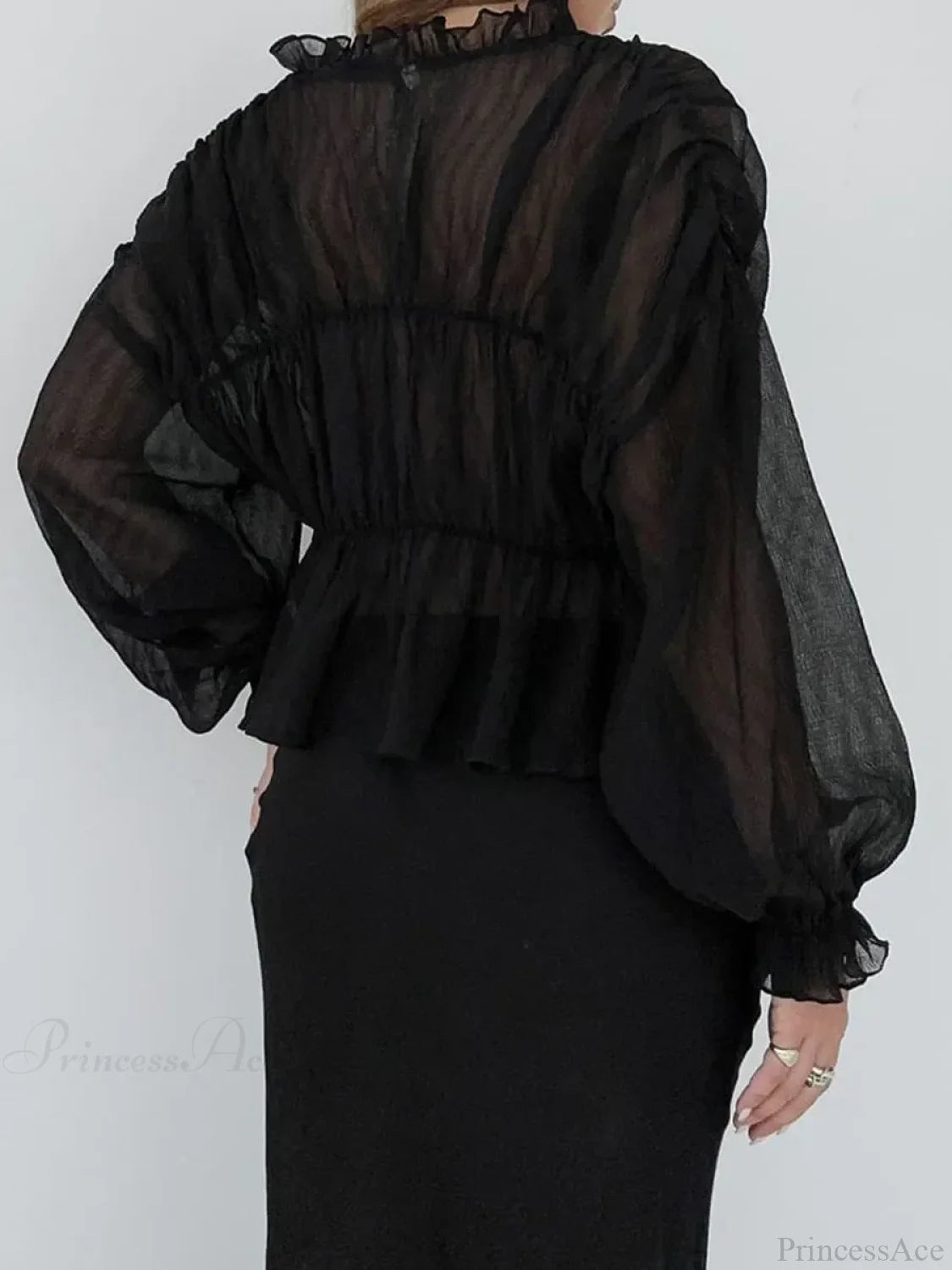 Retro Sheer Mesh Lantern Sleeve Blouse blouse-250223