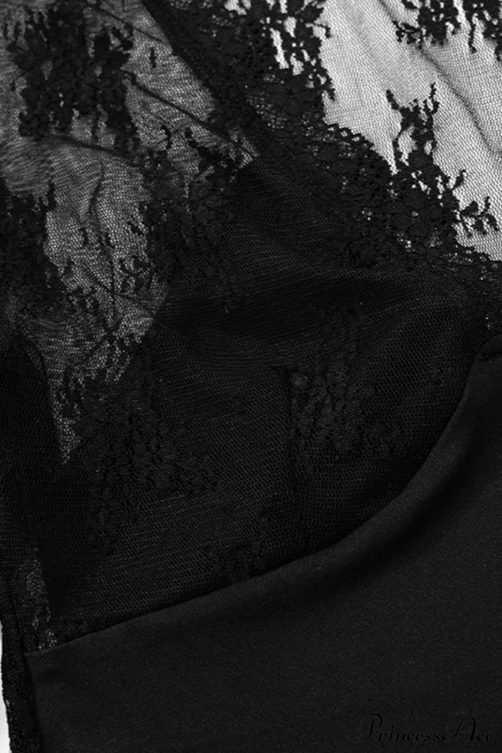 Sheer Lace Mesh Long Sleeve Crop Top