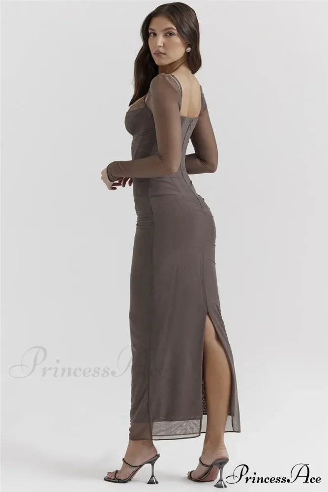 Sheer Long Sleeve Charming Bodycon Maxi Dress