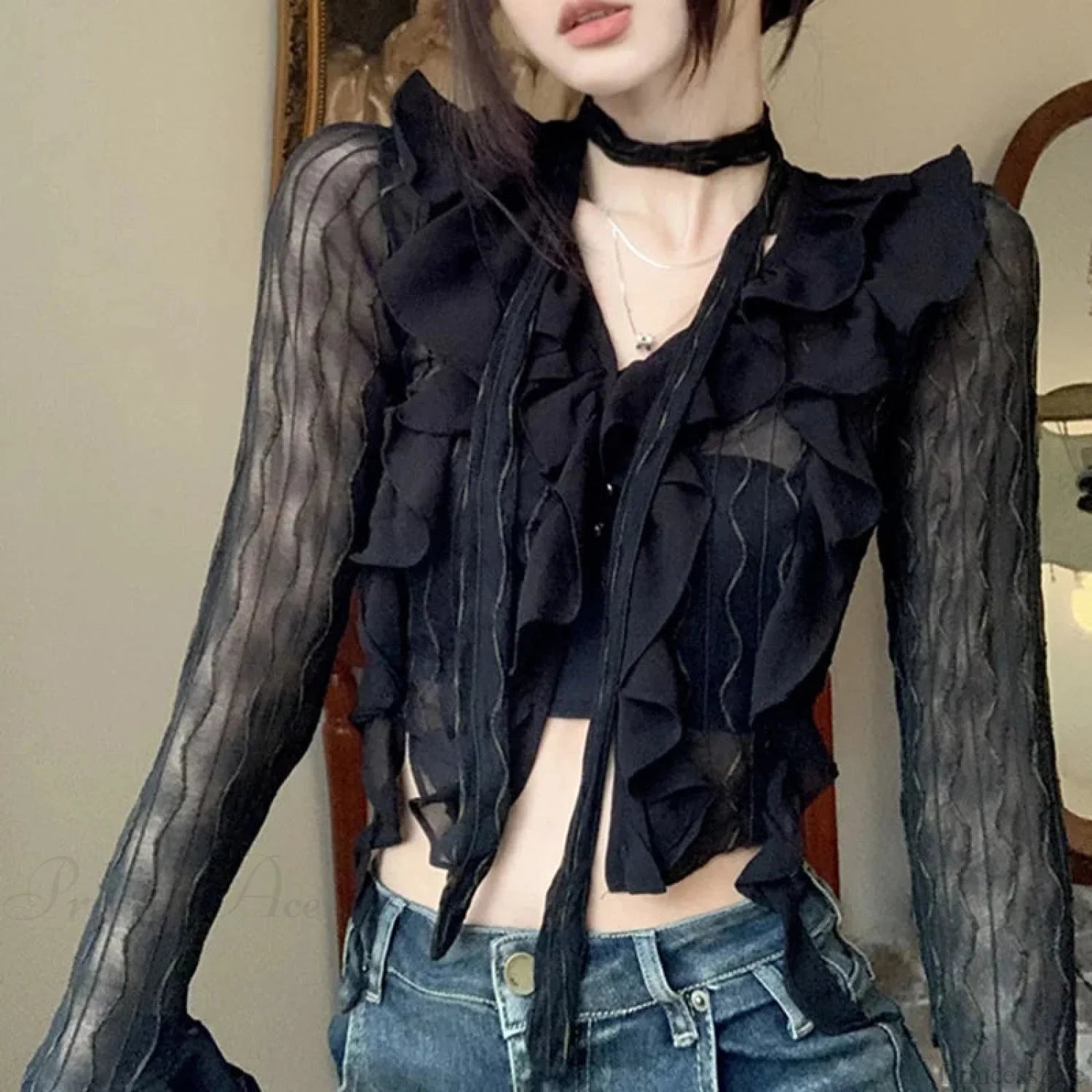 Transparent V-neck Flared Sleeve Blouse black / One Size