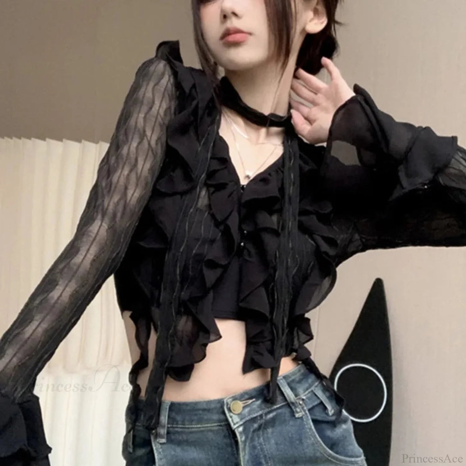 Transparent V-neck Flared Sleeve Blouse black / One Size