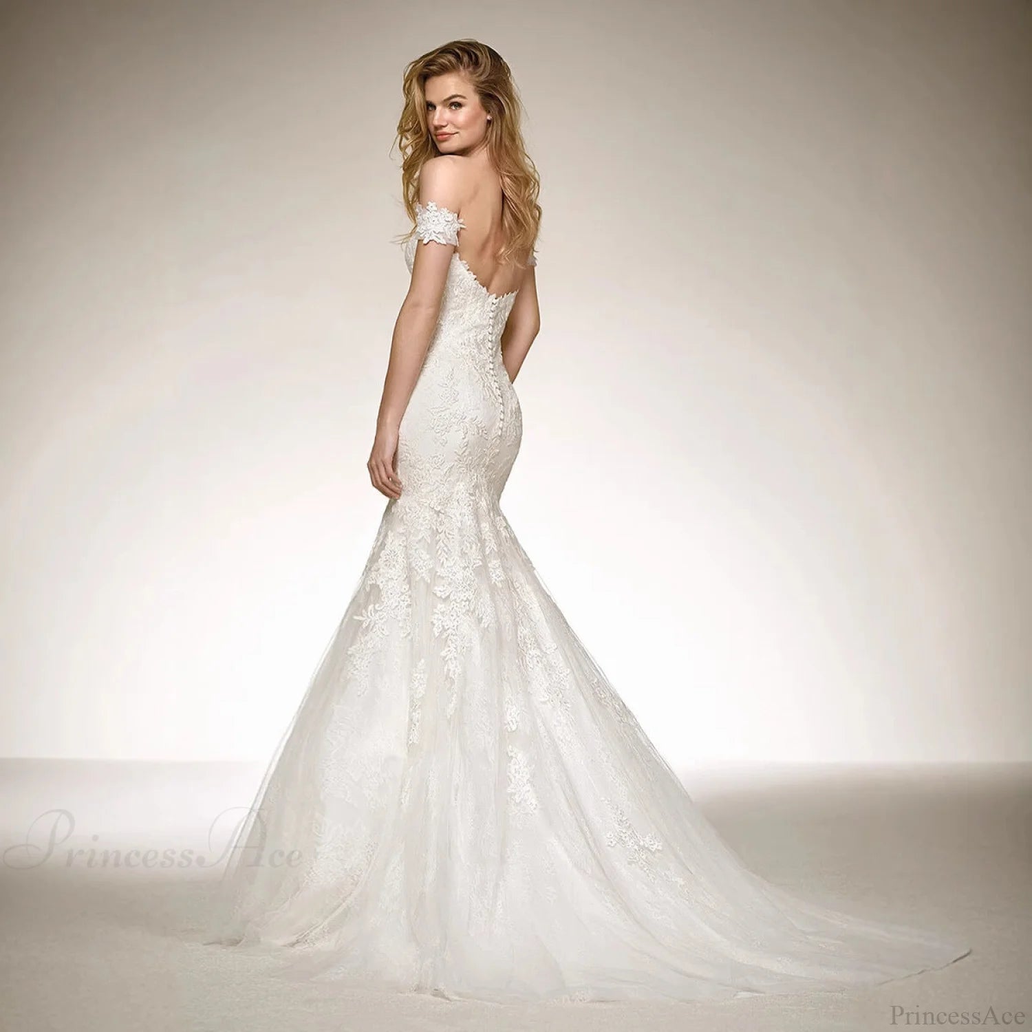 V-Neck Long Train Sheer Wedding Dress weddingdress-250223