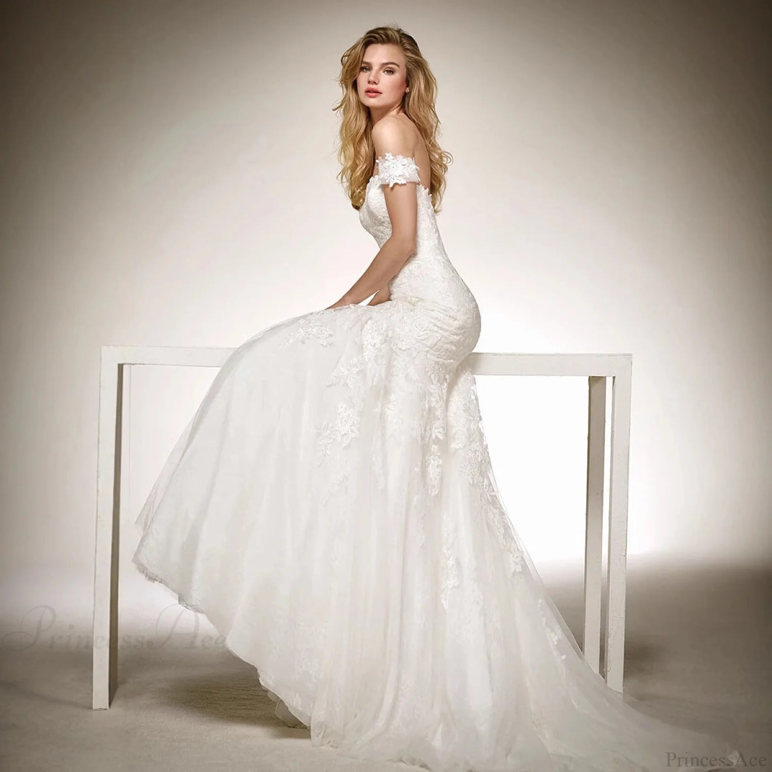 V-Neck Long Train Sheer Wedding Dress weddingdress-250223