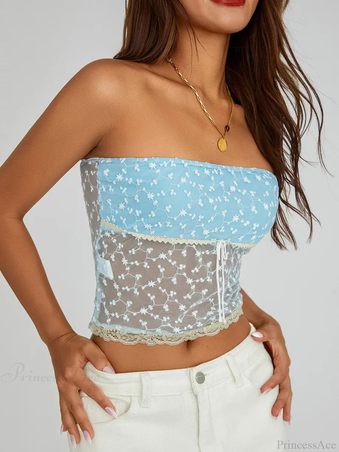 Vintage Embroidered Floral Off-shoulder Sheer Bandeau Top croptop-250126
