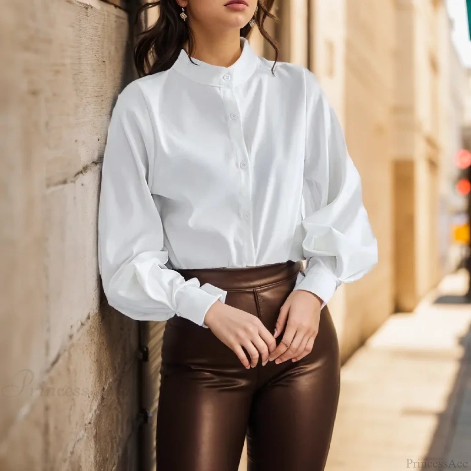 Vintage Lantern Sleeve Loose Stand Collar Blouse blouse-250126